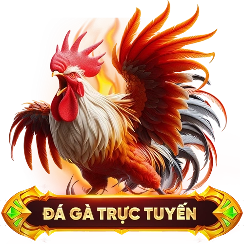 đá gà trực tuyến DABET